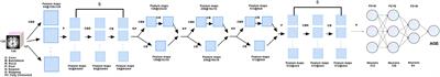 Predicting the brain age of children with cerebral palsy using a two-dimensional convolutional neural networks prediction model without gray and white matter segmentation